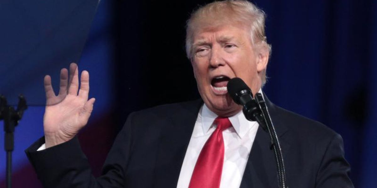 Political expert shows how Trump's campaign could be 'finished within the next two weeks'
