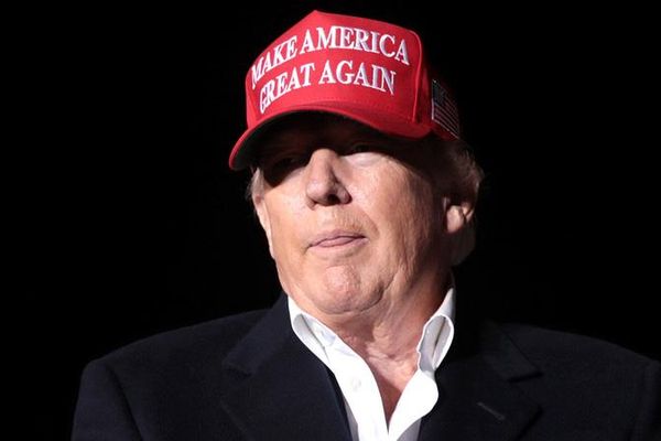 Fox News guest fact-checked on 'thriving' Trump economy claim: ‘Couldn’t get toilet paper'