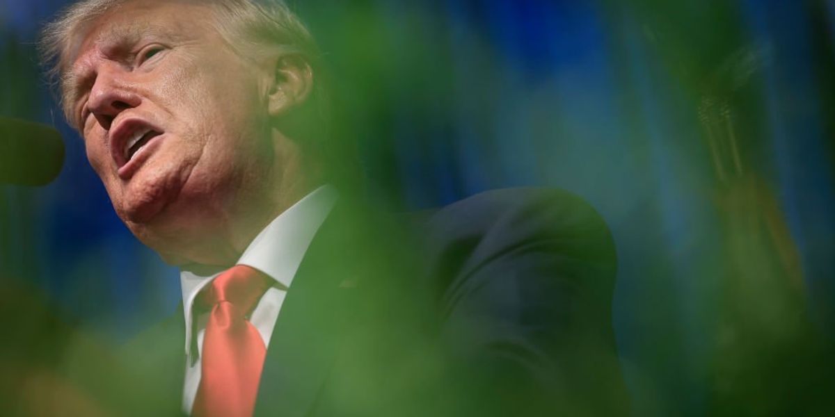Trump just created an 'immense vulnerability' that will benefit Biden: ex-GOP strategist