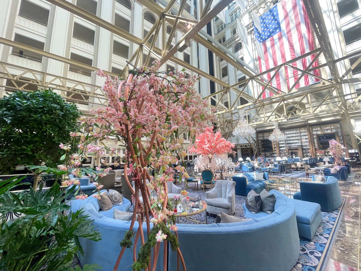 Trump's old D.C. hotel taken over by Dems wanting to 'stick it' to ex-president: report