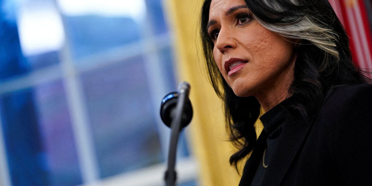 Tulsi Gabbard fires two intel veterans after they undercut Trump legal argument