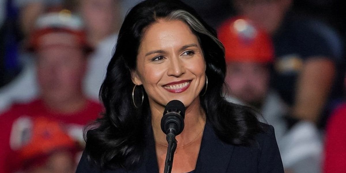 Tulsi Gabbard is a 'heat shield' covering for a 'more dangerous' nominee: lawmaker