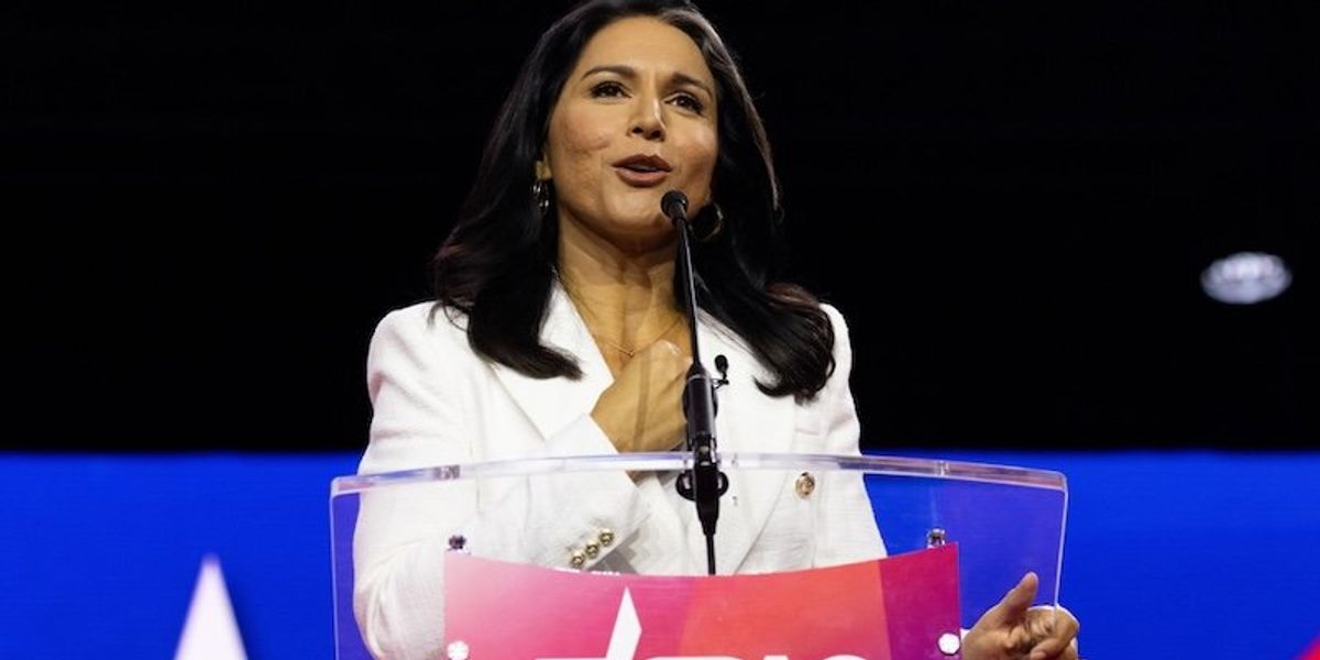 Tulsi Gabbard tells GOP lawmaker she's 'offended' by his question - Raw