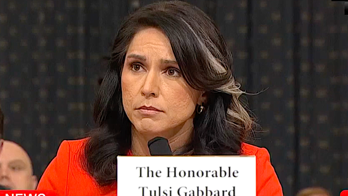 'Stunning stuff': Dem lawmaker gobsmacked as Tulsi Gabbard fails to give basic answer