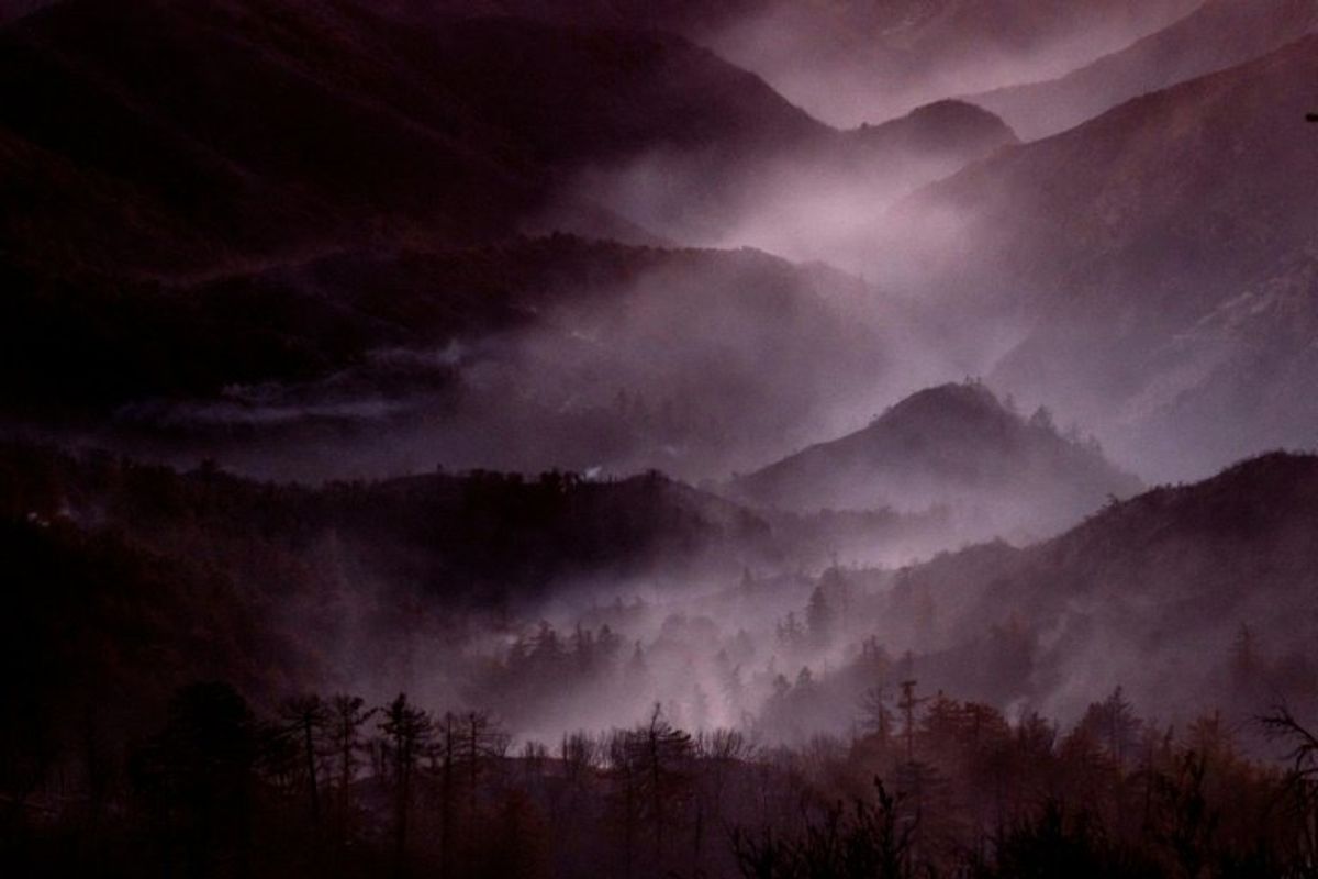 US lawmakers advance forest management bill as fires scorch LA