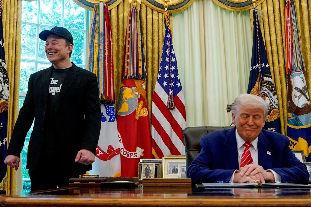 'He's a snake': Elon Musk torches top Trump advisor as MAGA rift grows