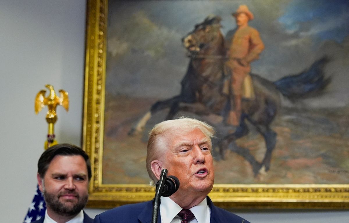 'Inappropriate!' Agitated Trump bashes 'lunatic' reporter after grilling on tariff law