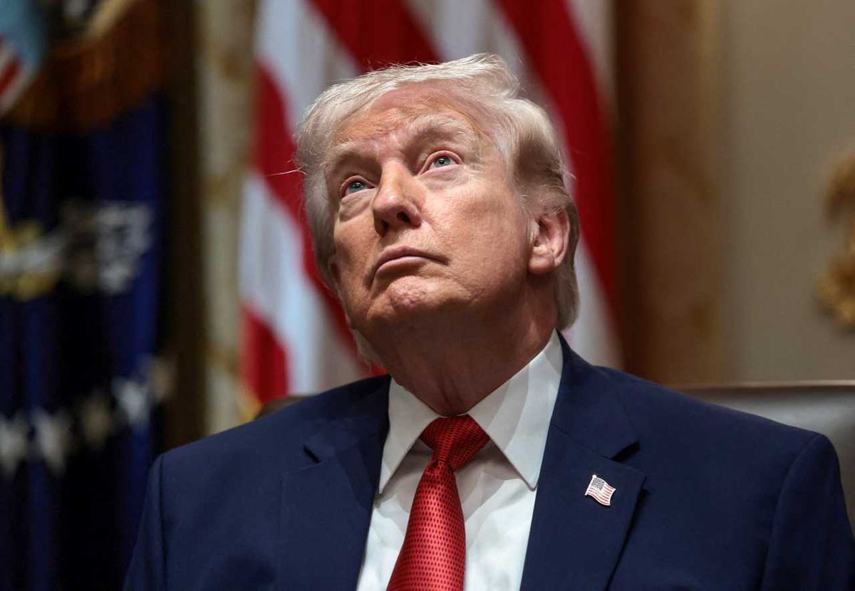 Trump ridiculed as he says he doesn't want 'a stupid person being president': 'Too late'