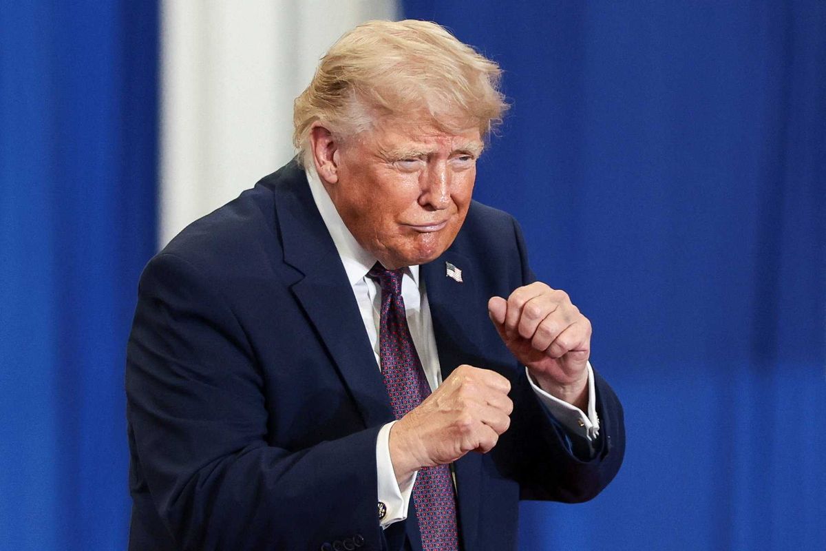 Republicans 'freaking out' and now praying Trump skips their districts: analysts