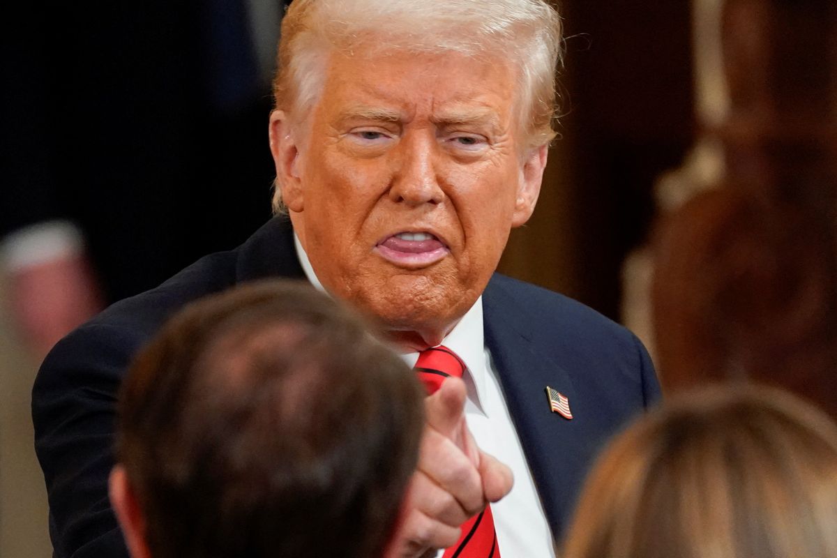 'Breathtakingly moronic': Trump relative slams the president's economic 'scheme'