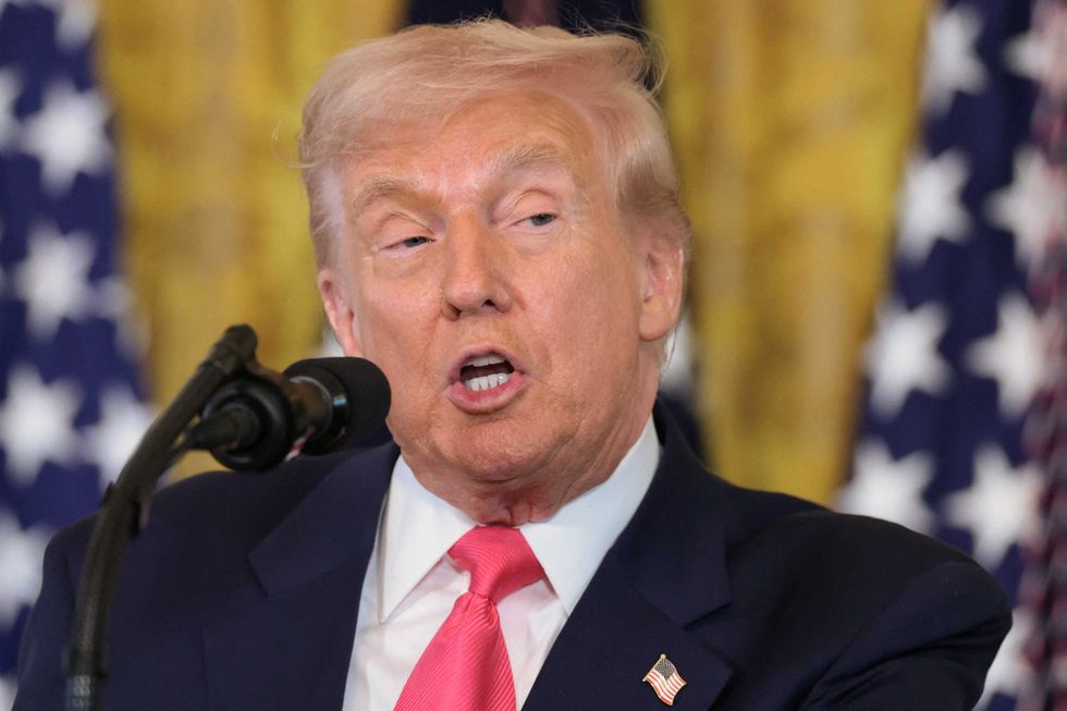 This is 'real reason' that proves Trump is 'faking' Epstein U-turn: strategist