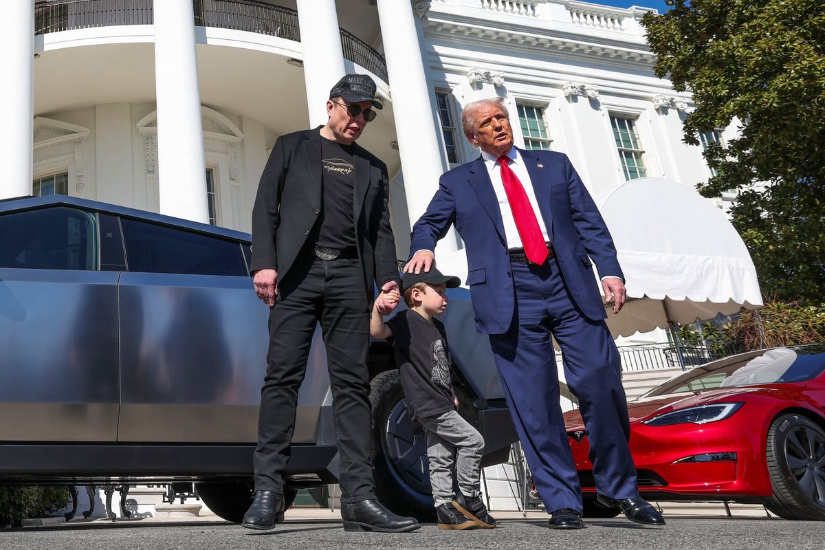'Gnat nibbling': Columnist belittles Musk theatrics while Congress looks on 'pathetically'