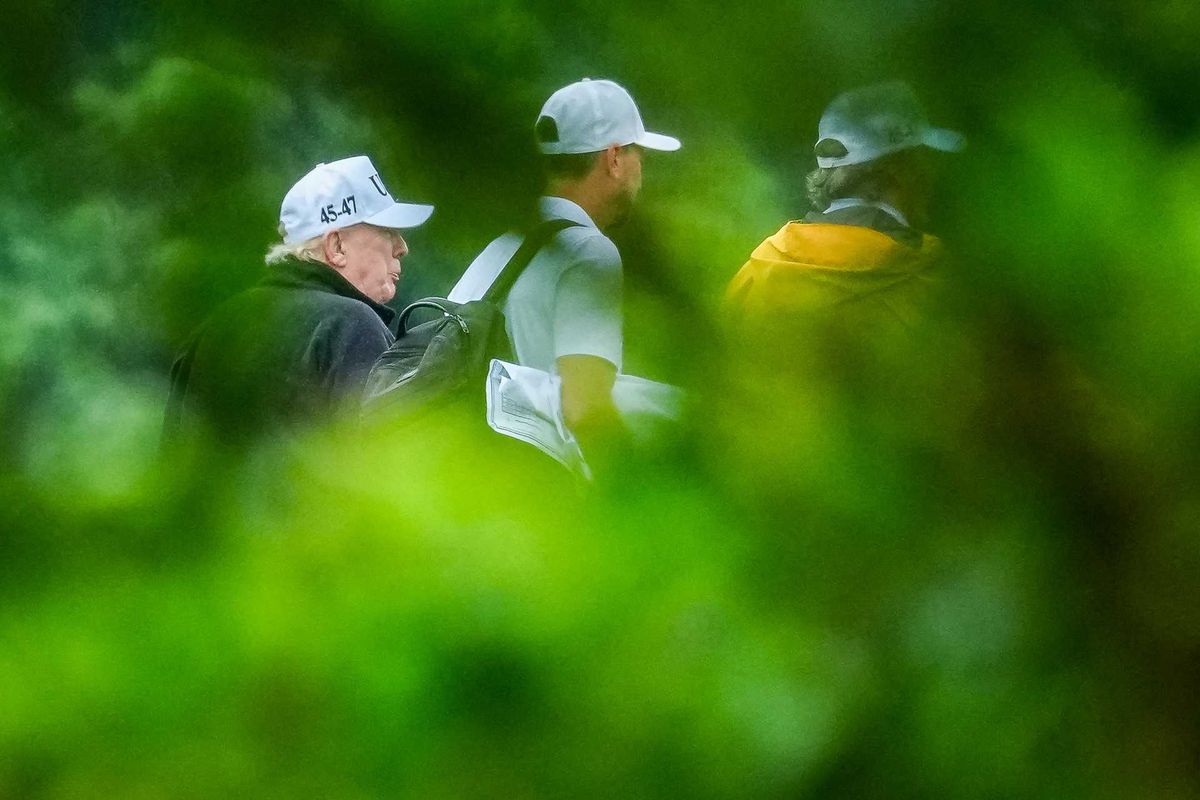Trump plan will destroy DC's 'oldest grove of cherry trees' for golf practice: report