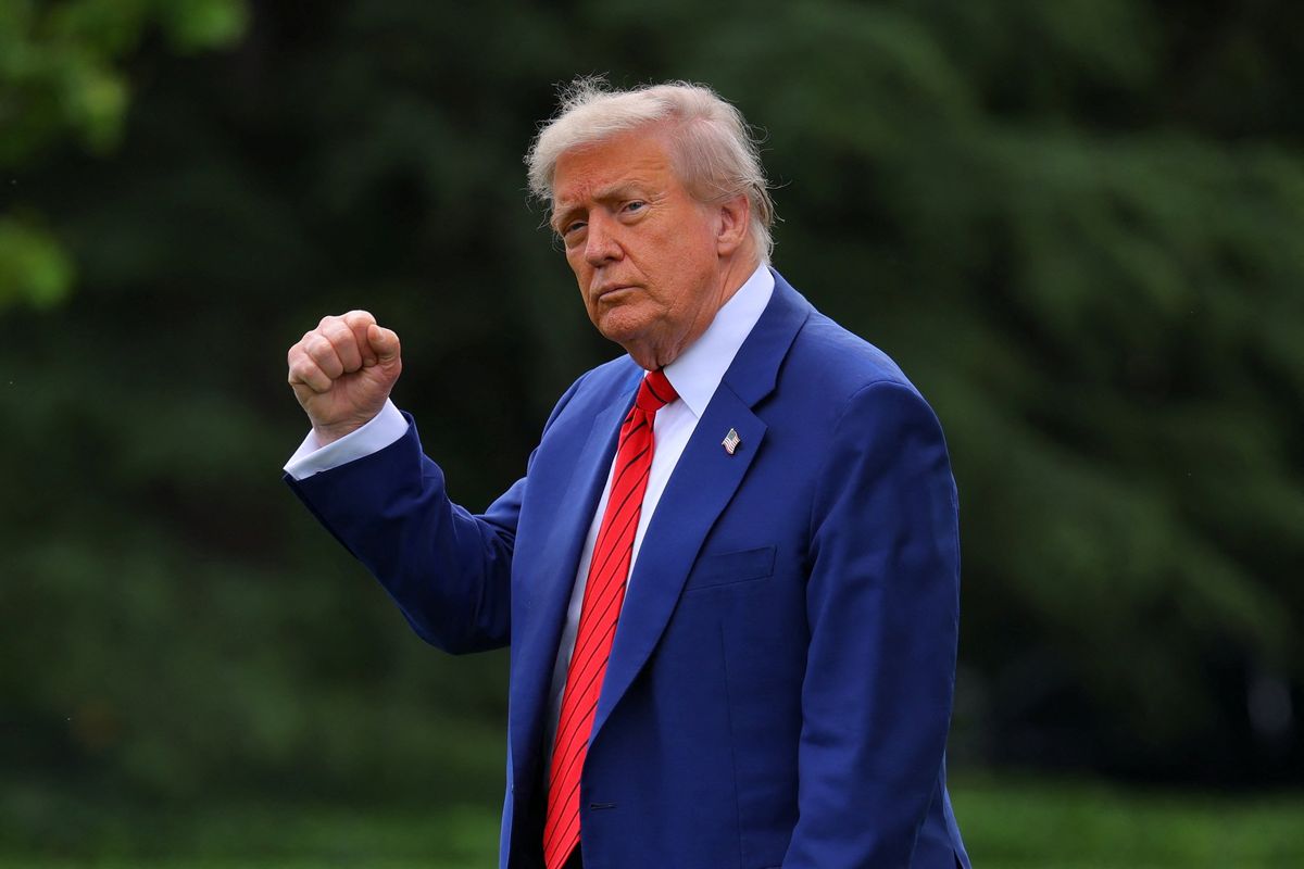 'None of that is true!' Expert laughs out loud as he hears Trump's grand claims