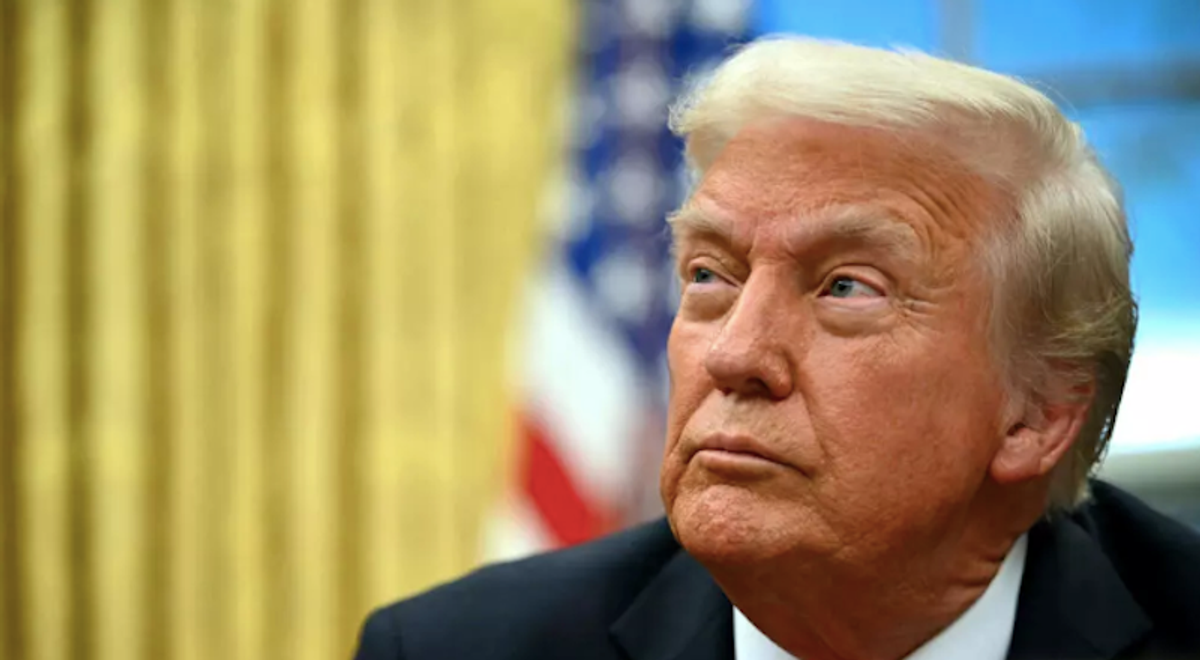 Musk to loom large at Trump's first cabinet meeting