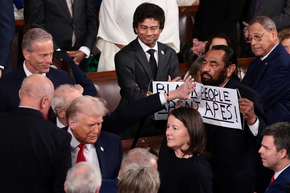 MAGA Rep rips Dem's sign saying 'Black people aren't apes' at State of the Union
