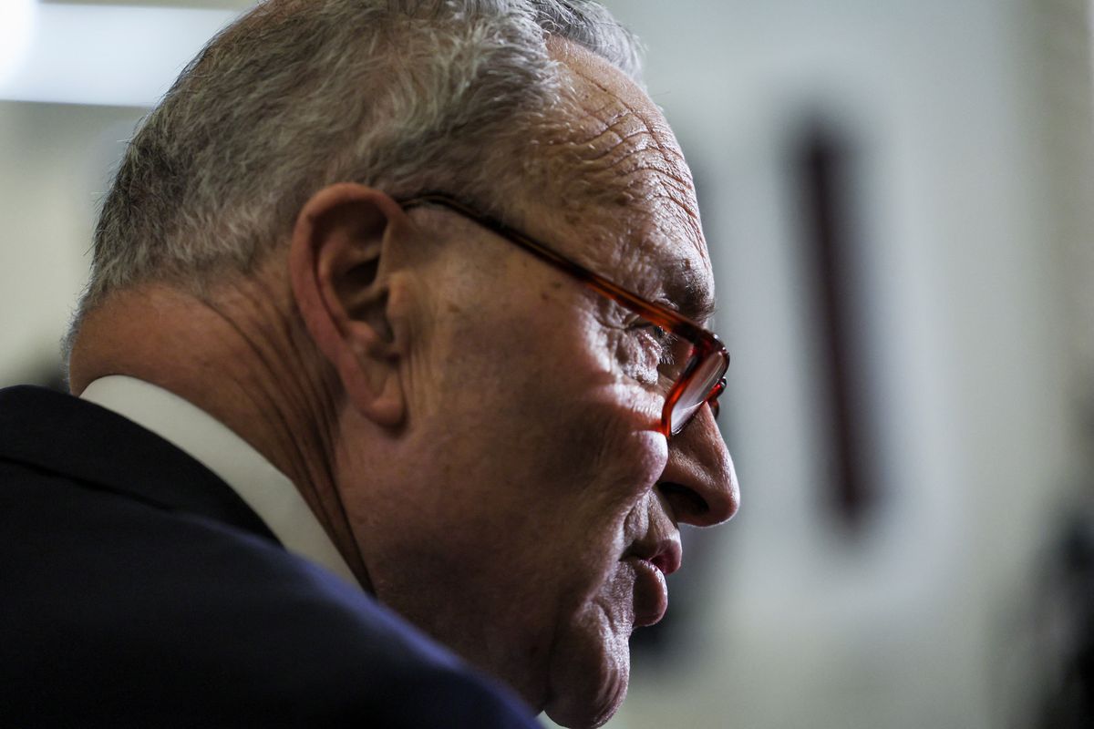 'Good luck!' Critics pounce on Democrats for re-electing 'sad sack' Senate leaders