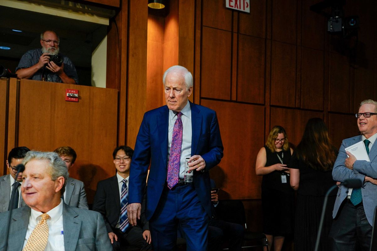 GOP senator nukes Trump's best shot at passing his dubious election package