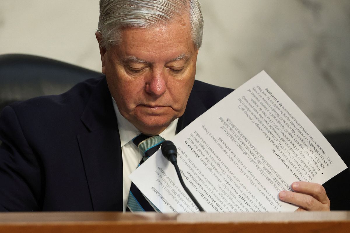 New stunt shows 2 GOP senators  'desperate' to stay in Trump's 'good graces': analyst