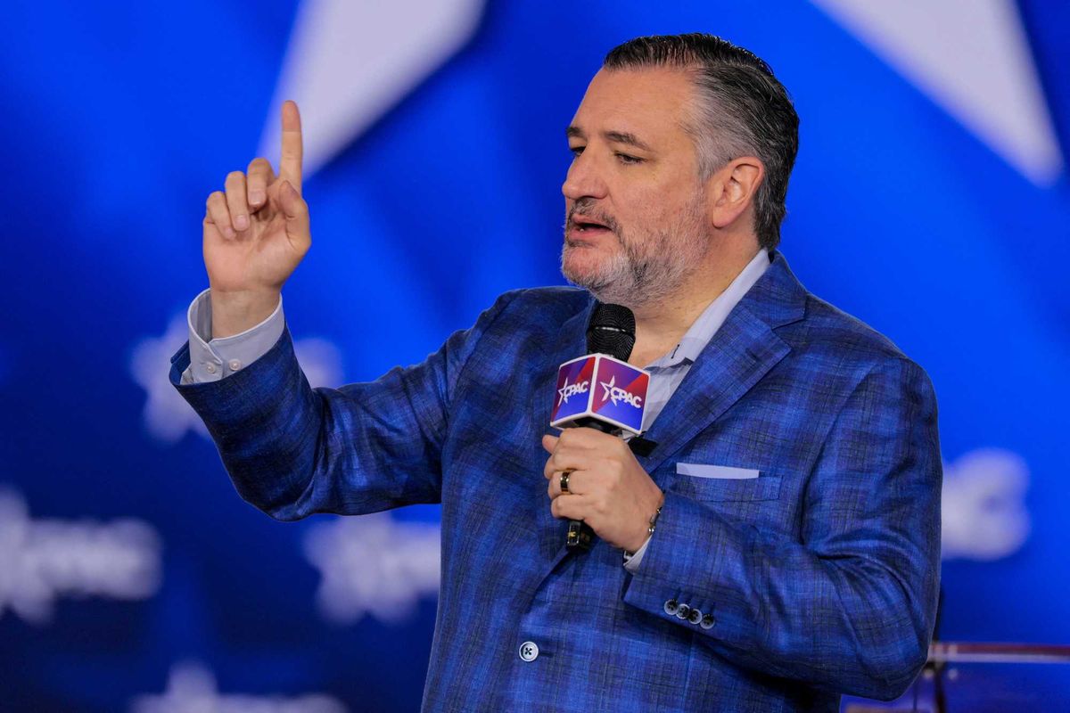 'Widespread mental illness!' Republicans lash out as 25th Amendment debate ignites