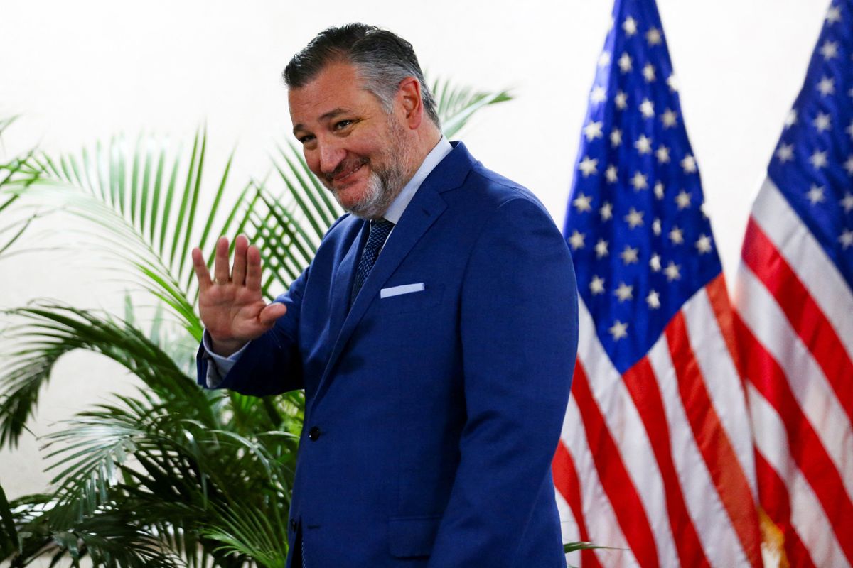 'Set out bait and got Ted Cruz': Senator's seemingly 'inadvertent' comment stuns analyst