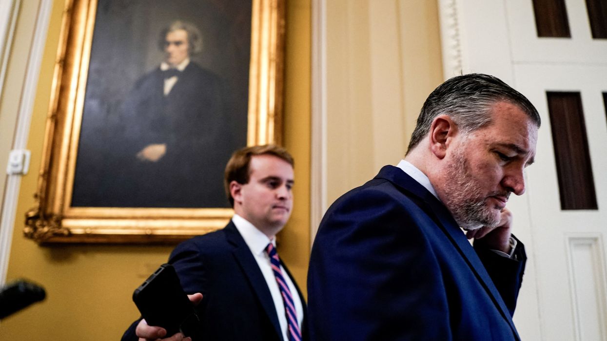 'His knuckles turn white': Ted Cruz says Trump raged as Elon named him in Epstein files