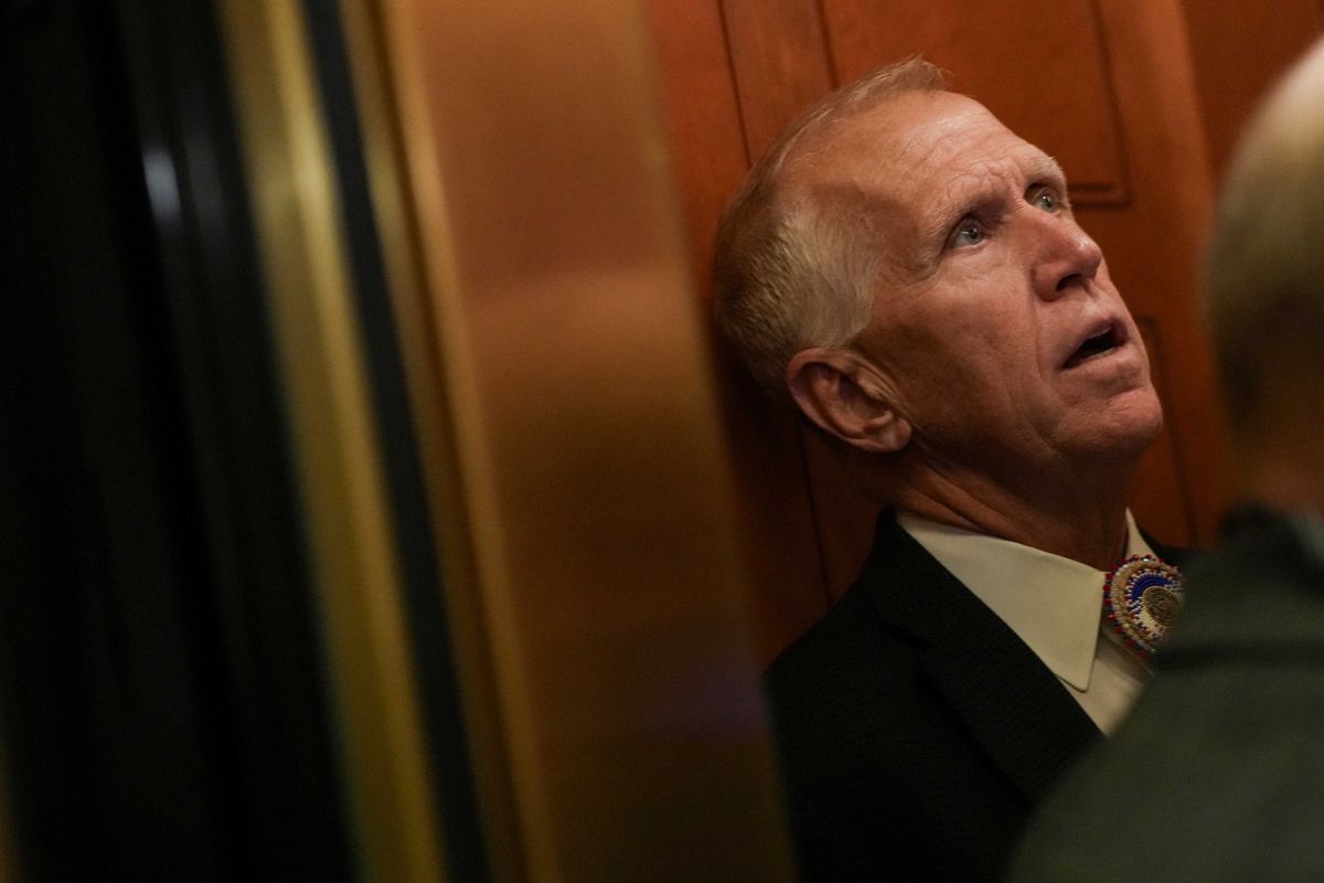 'He's a maggot': GOP senator's anti-MAGA book ripped after he caves to Trump