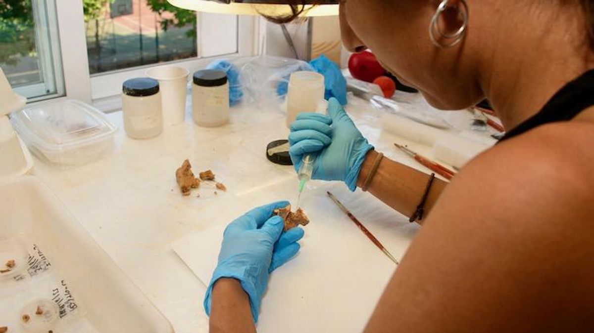 Oldest European human fossil possibly found in Spain