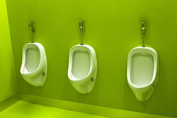 Video emerges of Bannon ally worrying women may sit in bathroom urinals at DNC
