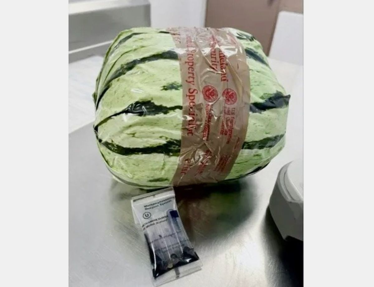Strange produce: smugglers disguise meth as melons in U.S.