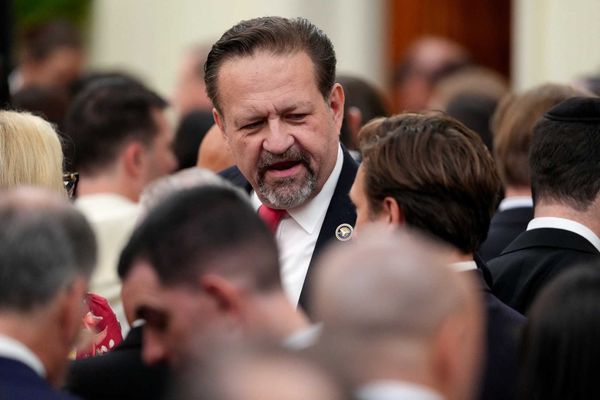 Trump terror czar blurts out real target of pre-election security push: report