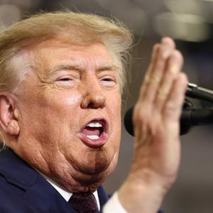 'Whoa!' Trump official goes 'silent' as judge pulls dictionary to define president's words