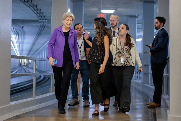 Elizabeth Warren sparks Trump official meltdown after cornering him on watchdog purge: NYT