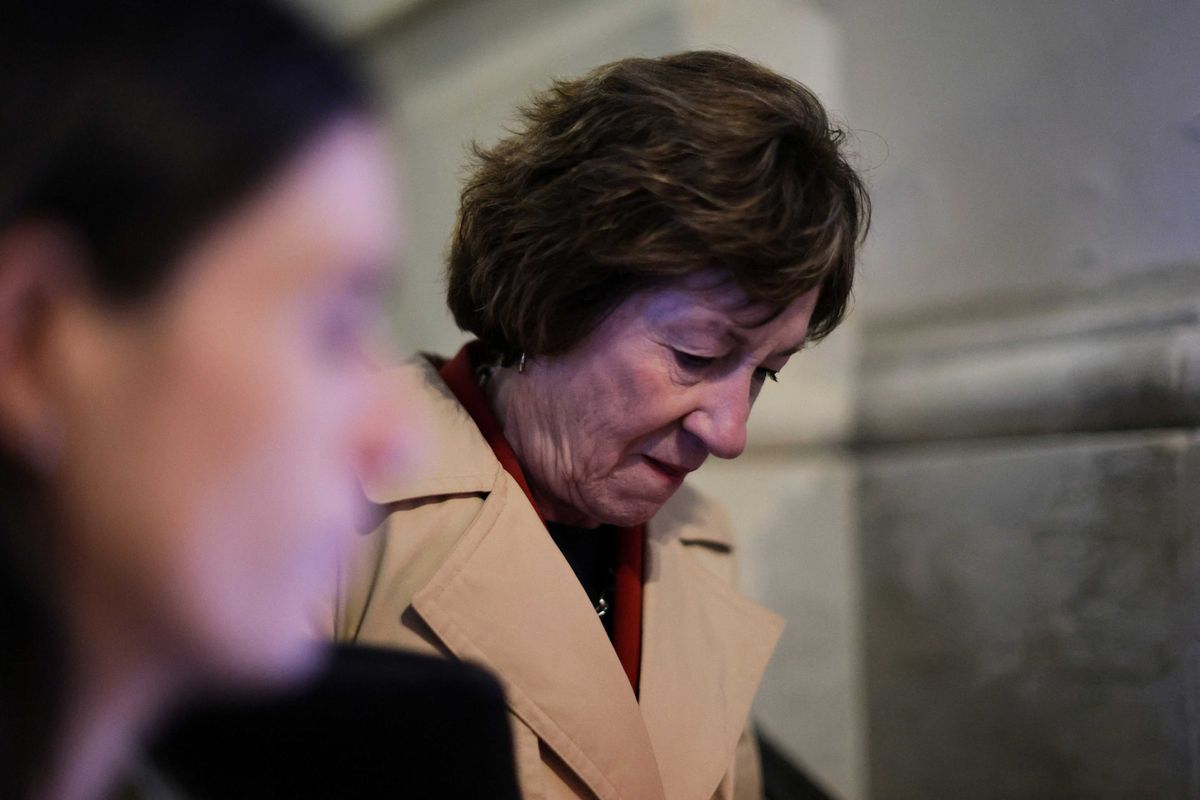 'Devastating': Glee erupts as Susan Collins' 'road salt' boast blows up in her face