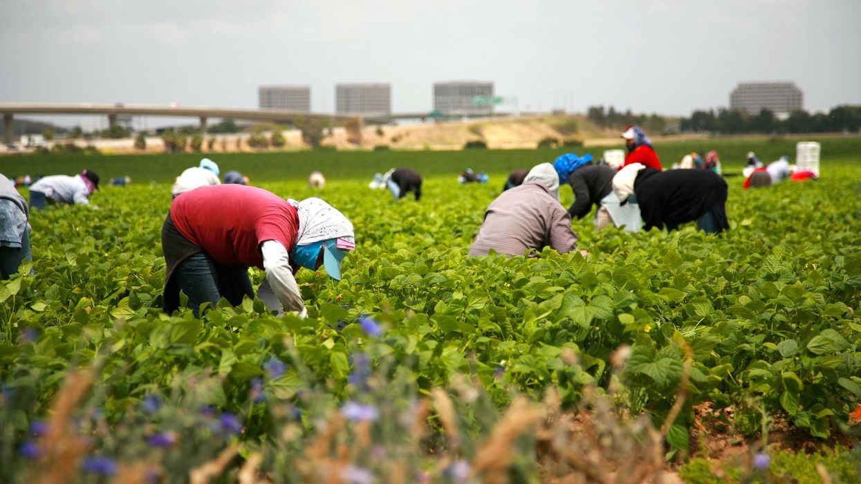Sick should work on farms to avoid losing Medicaid: Trump's agriculture secretary