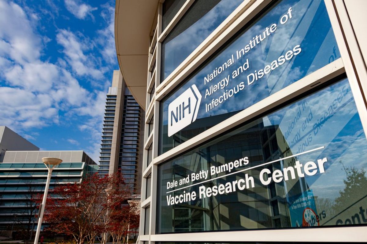 ‘Lives at stake’: Staff revolts as Trump guts life-saving medical research