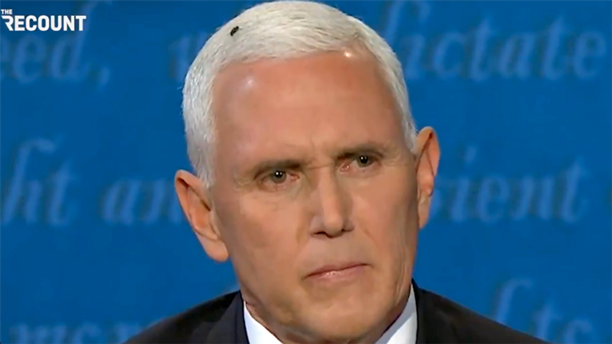 Veep: Mike Pence’s 2020 hilariously reviewed by Showtime’s ‘The Circus’
