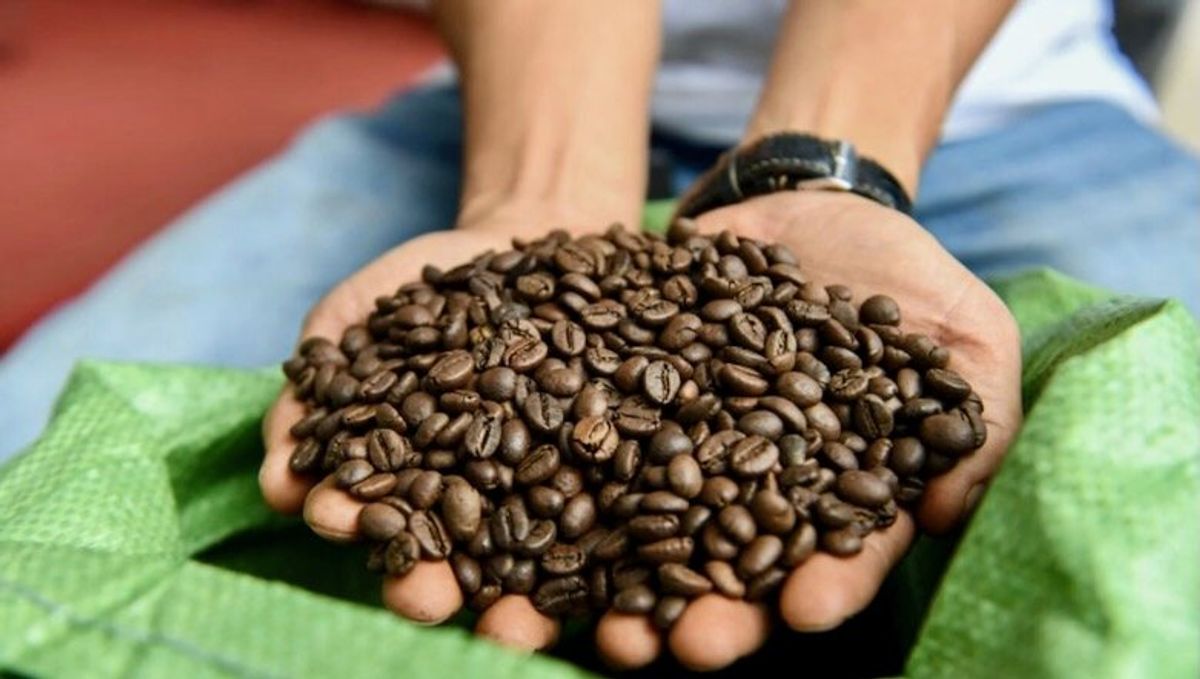 Retaining flavor while removing caffeine − explaining the chemistry behind decaf coffee