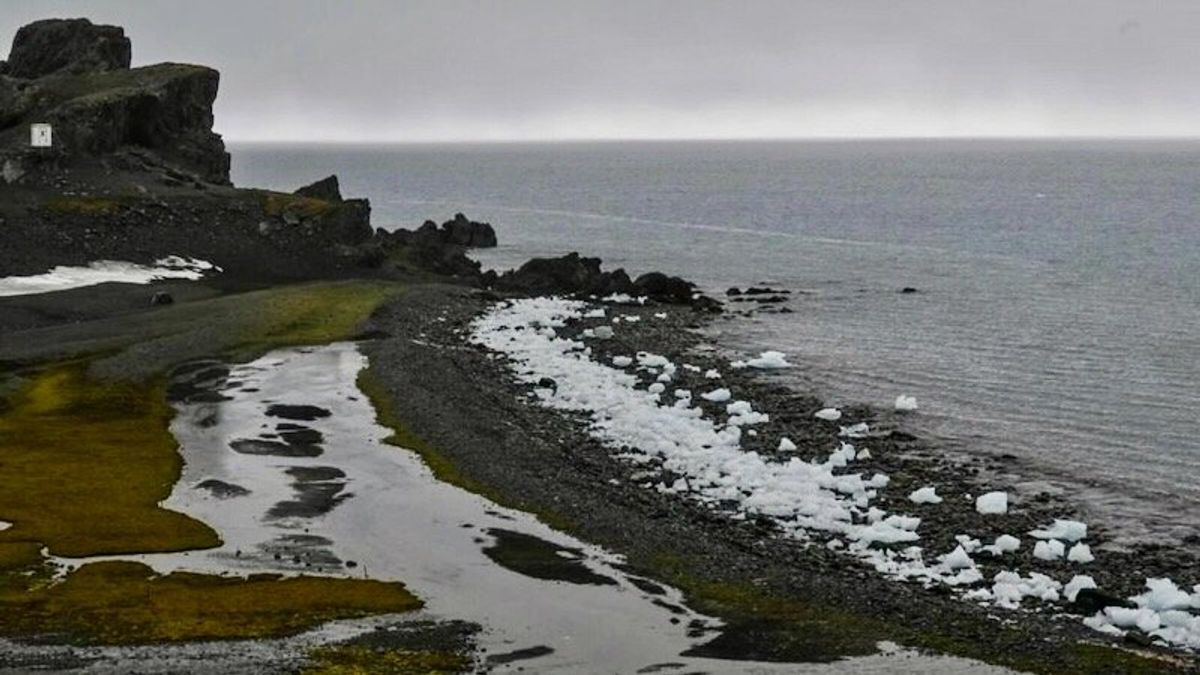 'Very worried': Scientists fret as Antarctic sea ice dwindles
