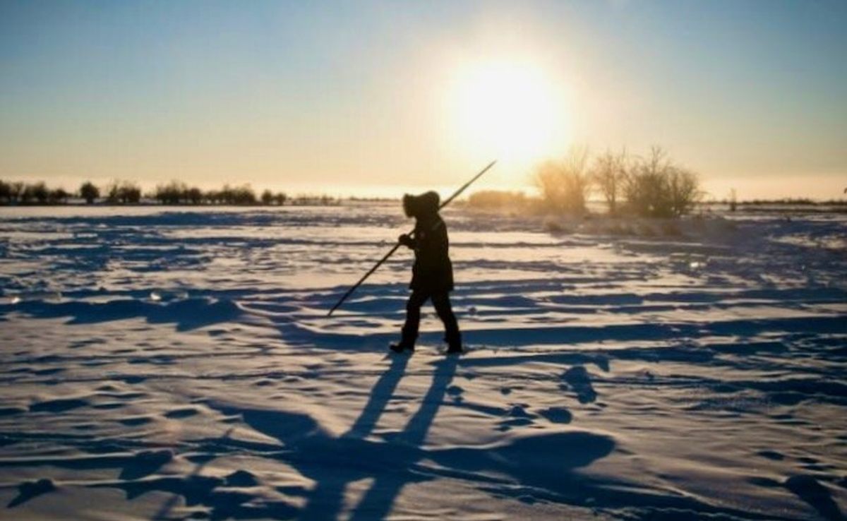 Sink to source: Arctic is now emitting more carbon than it absorbs