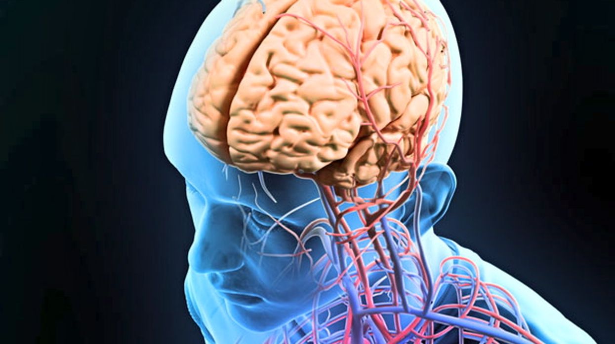 Here’s what happens in your brain when you’re trying to make or break a habit