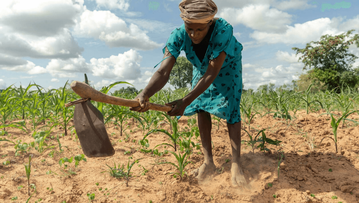 Africa to press climate finance demands at COP26: negotiator