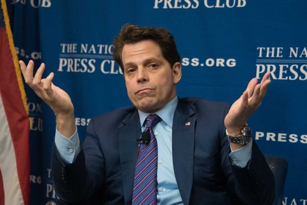 'I get it now': Anthony Scaramucci reveals epiphany he had thanks to 'not well' Trump
