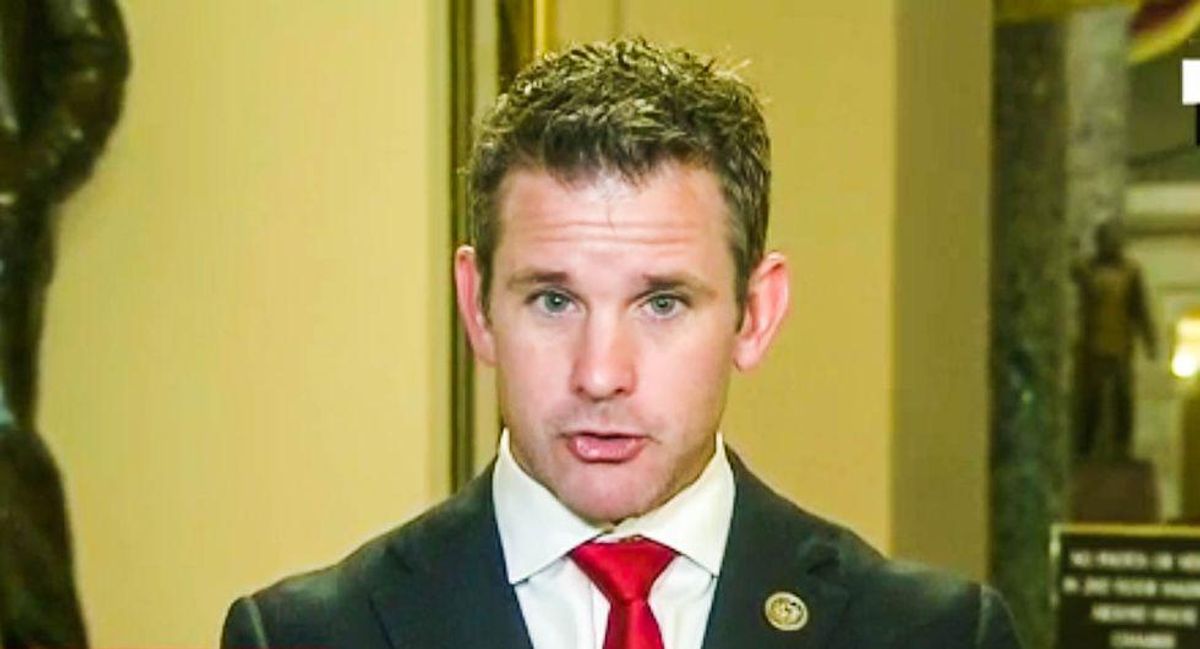 Republicans are still scared Trump will mean-tweet them even though he's banned from Twitter: Adam Kinzinger