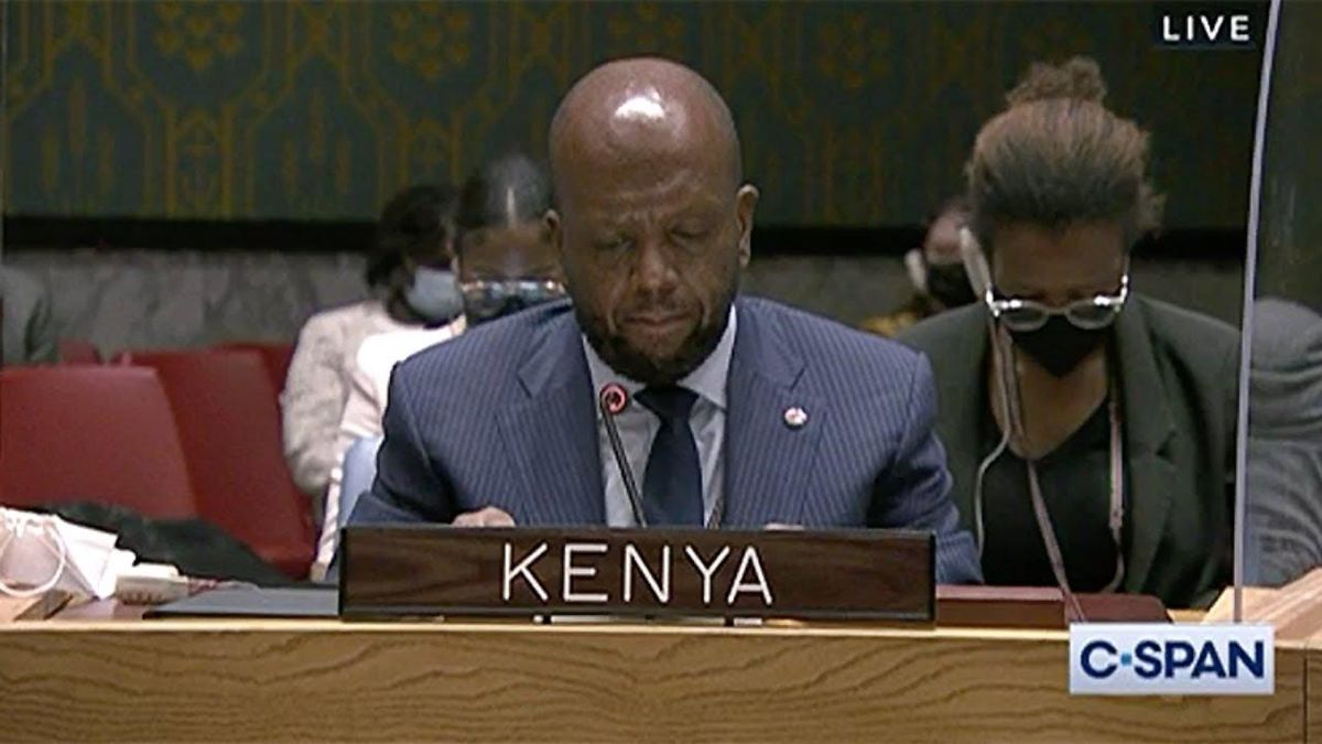 WATCH: Kenya takes down Russia in United Nations Security Council speech