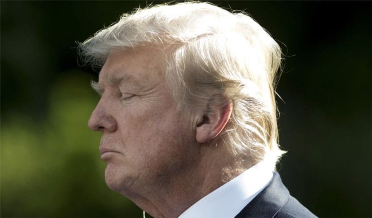 'They heard what he knew': Legal expert claims Trump's lawyers have become 'the most crucial witnesses'