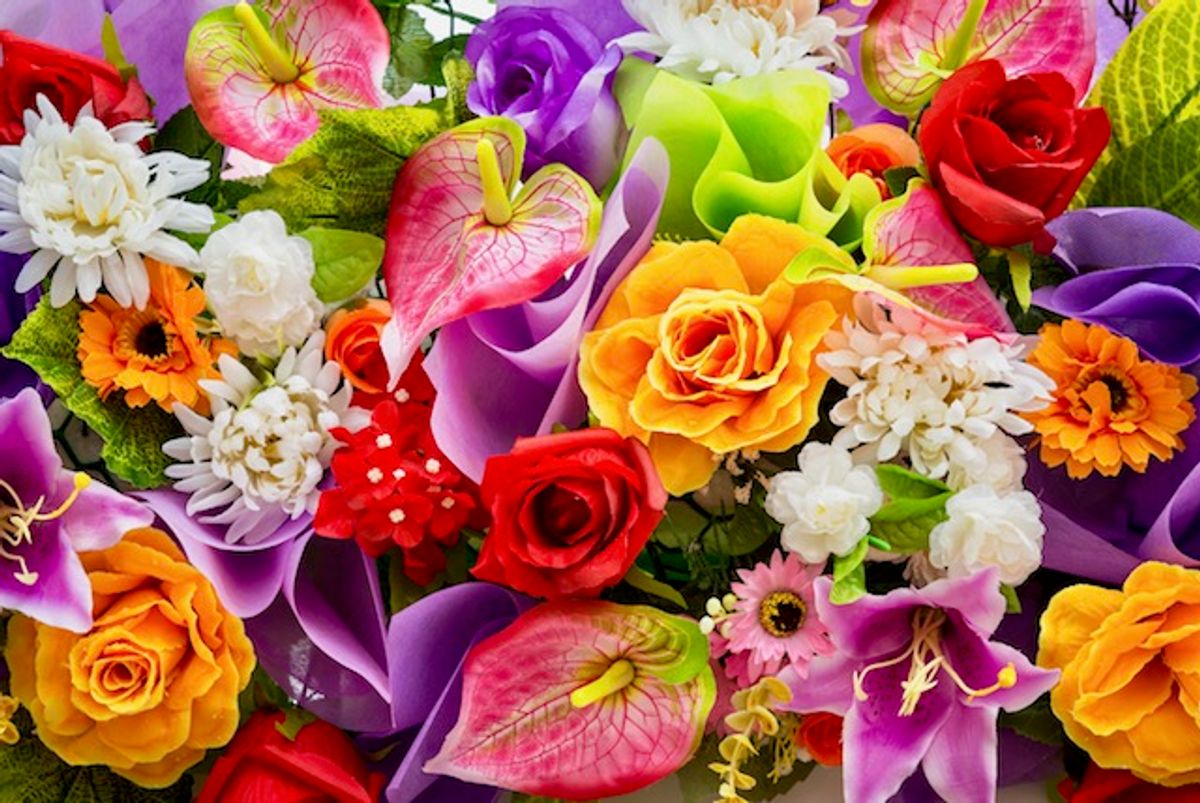 Flowers may be more ancient than dinosaurs – scientists can’t agree on when they evolved