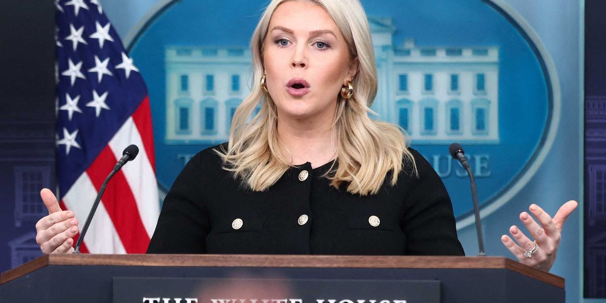 'You're kidding right?' Karoline Leavitt snaps at question on Trump's 'racist' label whine