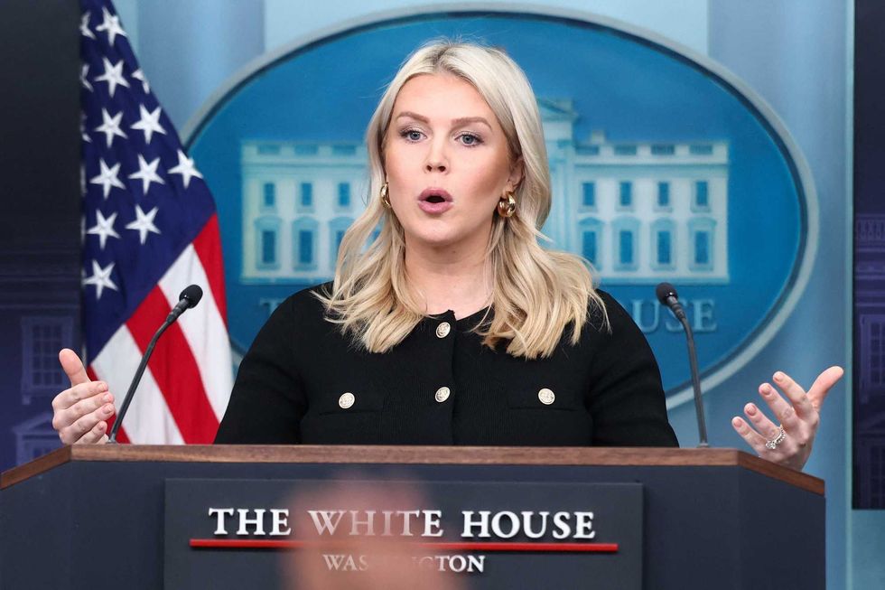 'You're kidding right?' Karoline Leavitt snaps at question on Trump's 'racist' label whine