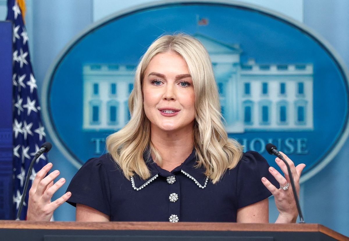 Karoline Leavitt won't rule out Medal of Freedom for ex-DOGE staffer 'Big Balls'